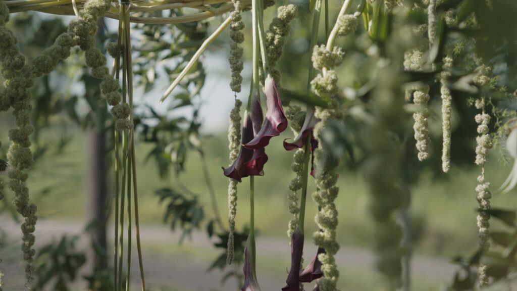 Purple flowers hang from a chuppah during a Hudson valley jewish wedding ceremony