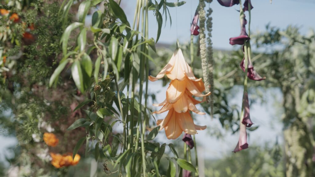 Orange lilies hang around the Chuppah